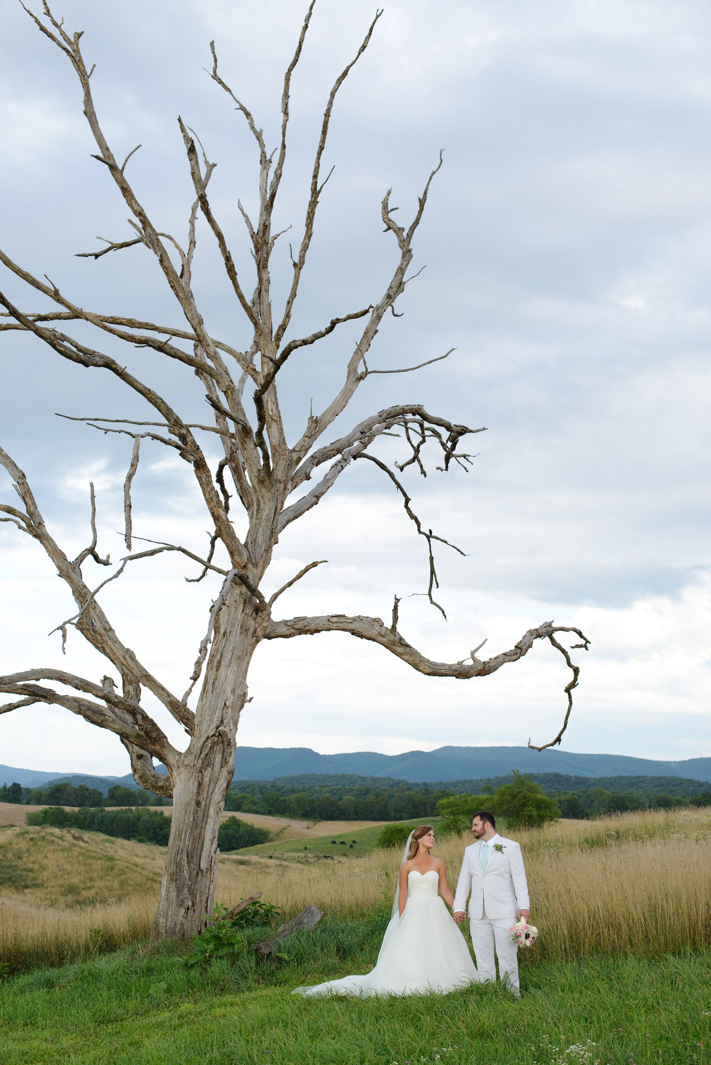 Kelly and Nathan by Neil GT Photography Sinkland Farms Christiansburg VA Wedding Old Tree Portrait