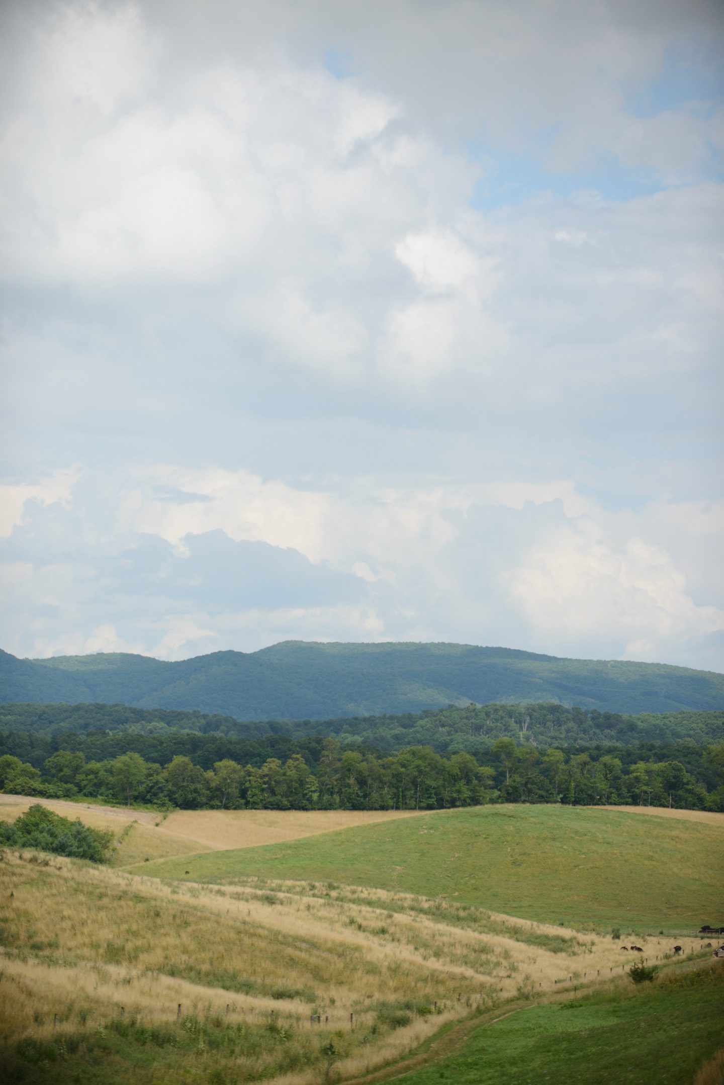 Kelly and Nathan by Neil GT Photography Sinkland Farms Christiansburg VA Wedding Mountains