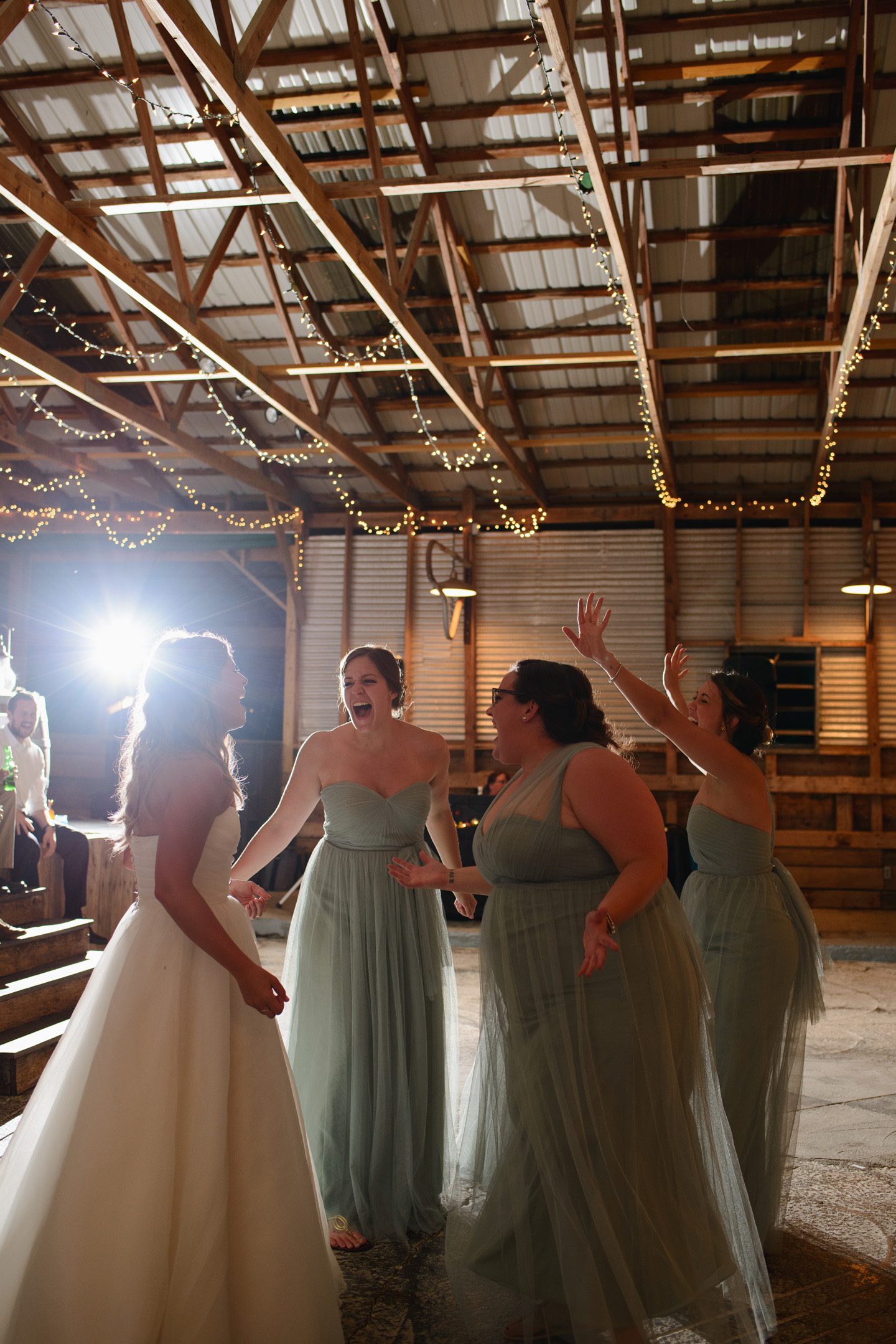 Kelly and Nathan by Neil GT Photography Sinkland Farms Christiansburg VA Wedding Bridesmaids Dancing