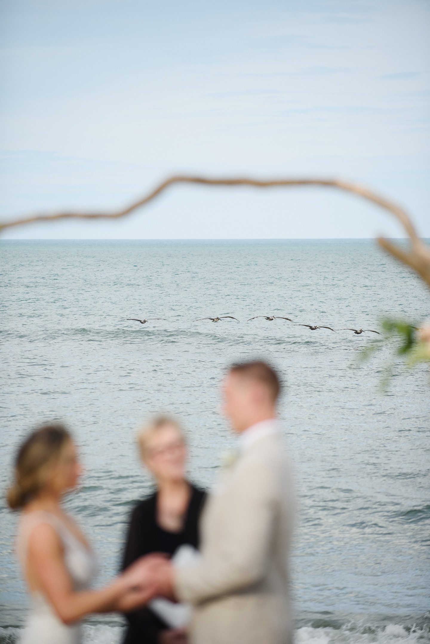 Outer Banks Wedding Photographers Neil GT Photography Palmers Island Beach Elopement Pelicans