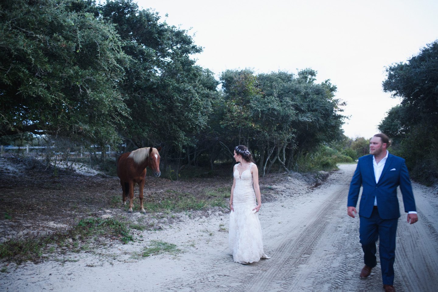 Outer Banks wedding with wild horses at the Hemingway