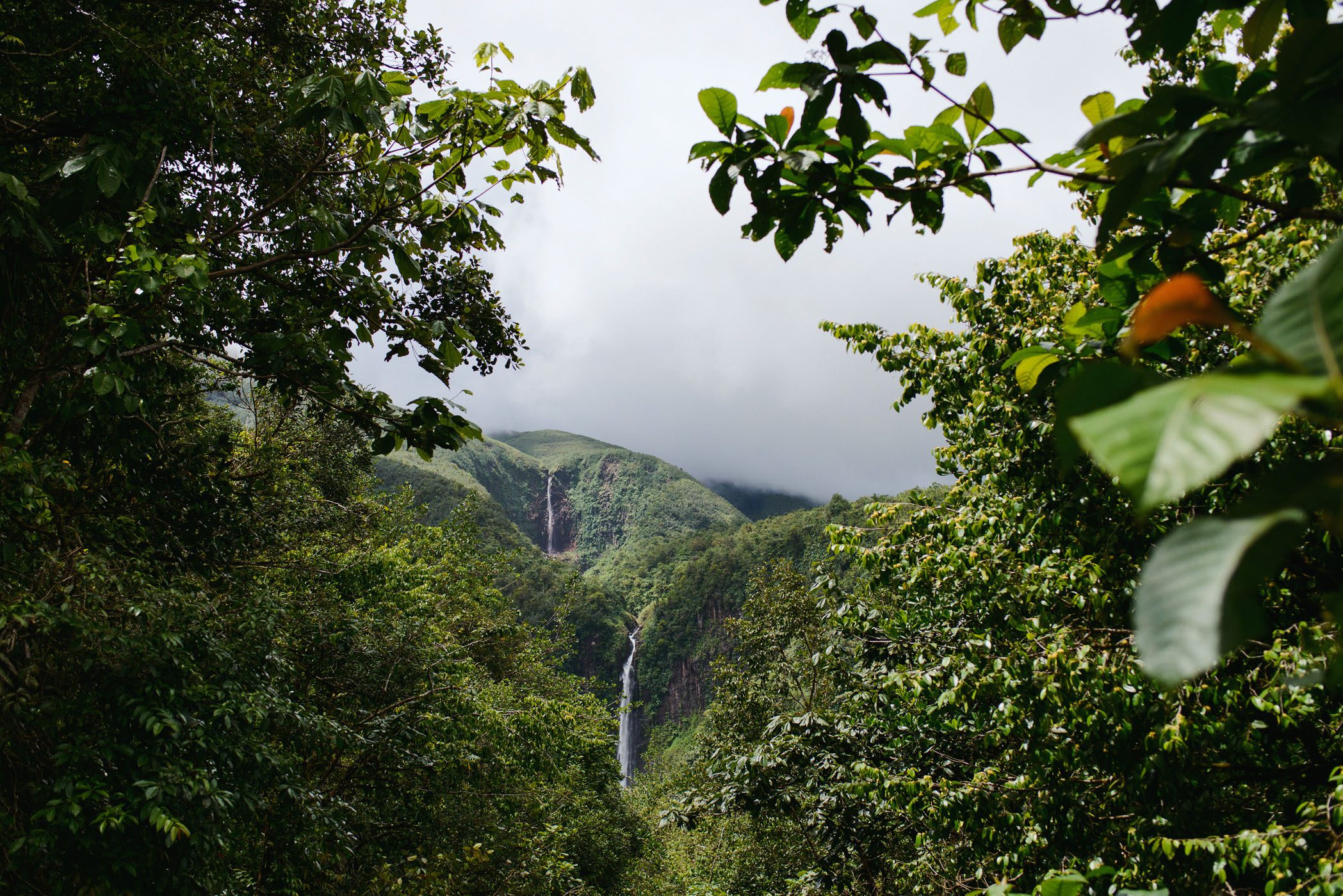 Caribbean Travel Photographer Guadeloupe Waterfalls